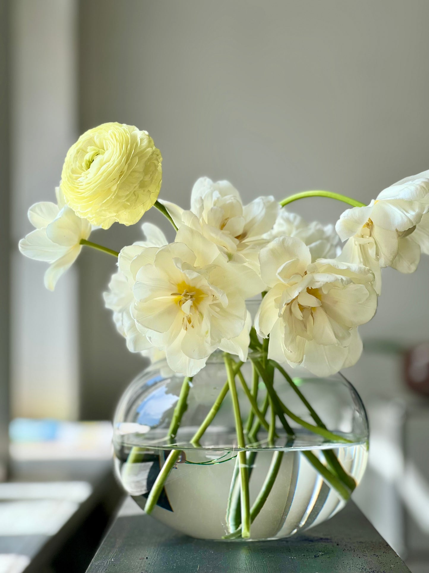 Ranunculus Elegance® CREMA and tulip